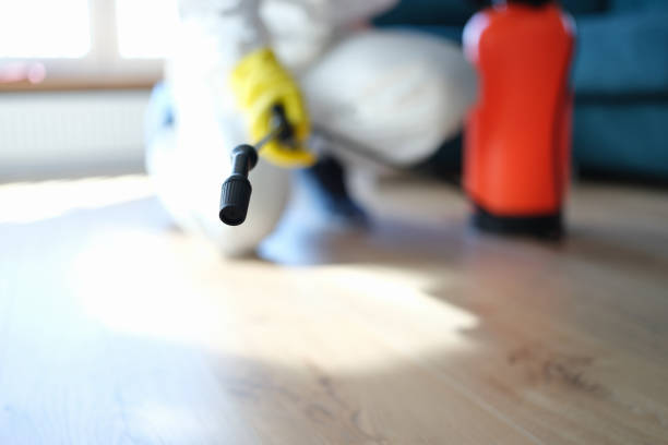 Best Mold Removal for HVAC Installations  in Schuylkill Haven, PA