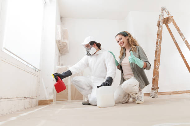 Best Commercial Mold Inspection  in Schuylkill Haven, PA